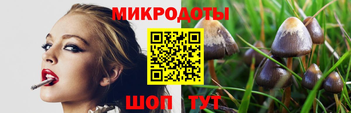 Псилоцибиновые грибы MAGIC MUSHROOMS  Вход с VPN  Гусь-Хрустальный 